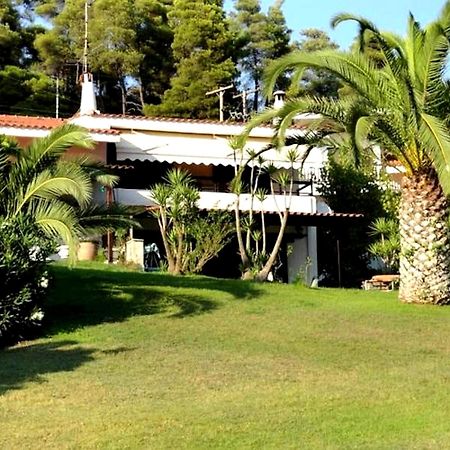 Beachfront Villa 100M From Sea For Up To 10 Guests Siviri Exterior photo