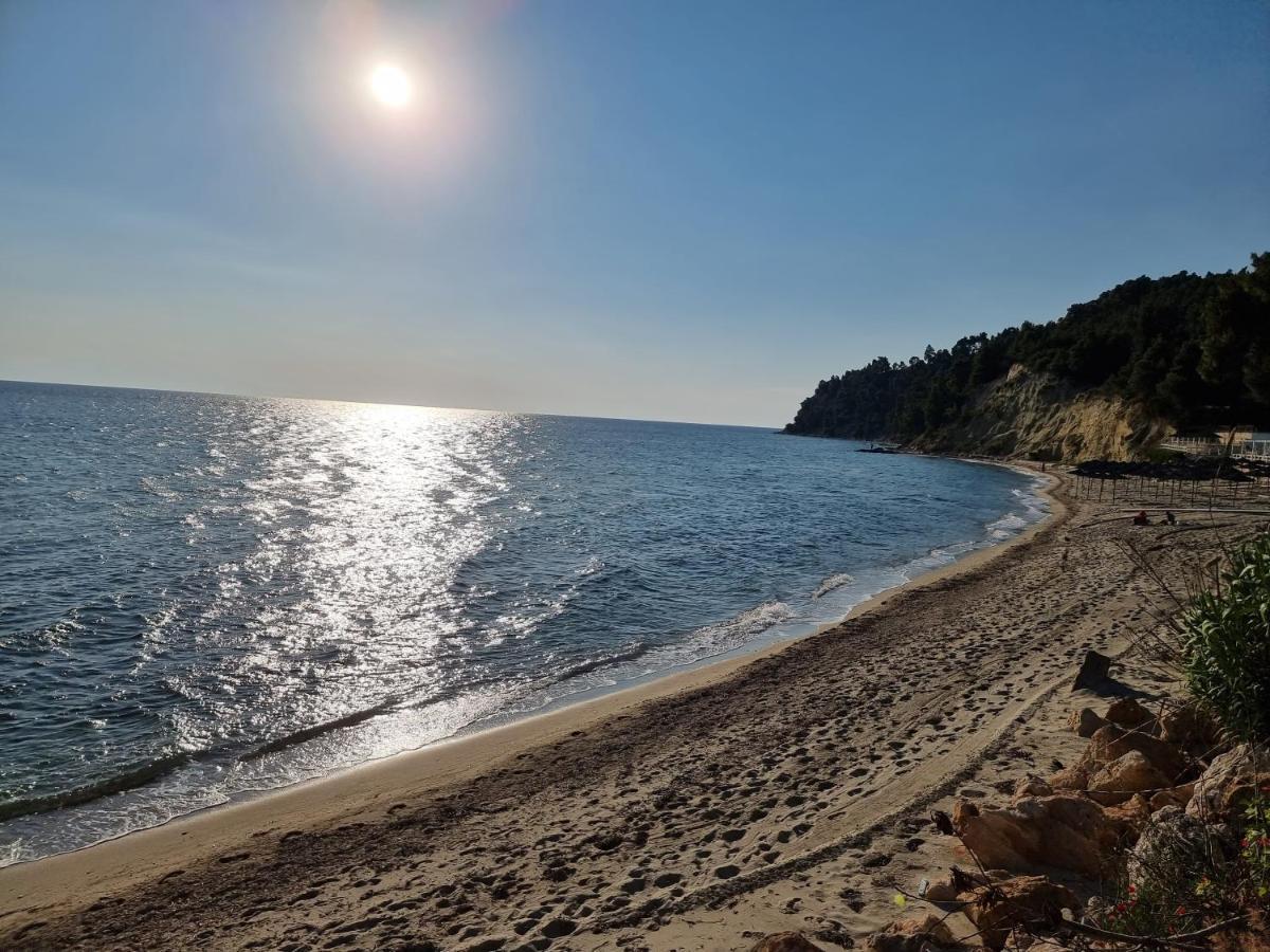 Beachfront Villa 100M From Sea For Up To 10 Guests Siviri Exterior photo