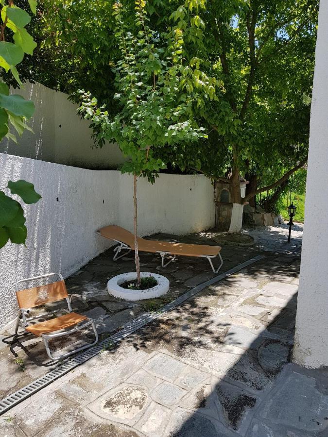 Beachfront Villa 100M From Sea For Up To 10 Guests Siviri Exterior photo