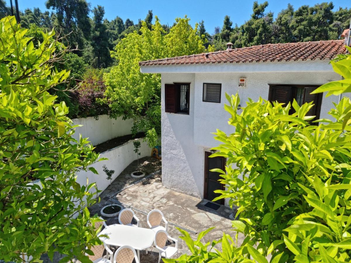 Beachfront Villa 100M From Sea For Up To 10 Guests Siviri Exterior photo